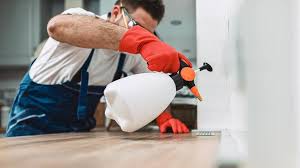 Best Residential Pest Control  in Blue Mound, TX